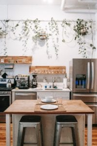 The white walls in this kitchen are perfect for making the plants hanging along the wall pop.